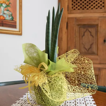 Cadepulan - Lejlighed Como