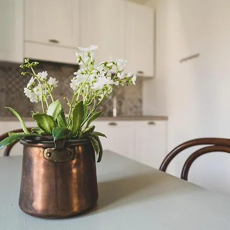 Lejlighed Cadepulan -